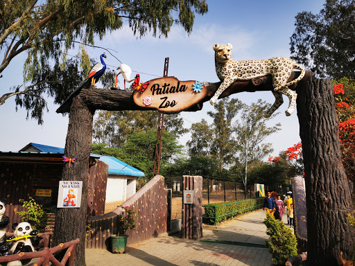 patiala zoo 0hj1x12000ichkwc9031e