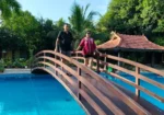Alipuria Travels