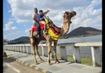 Dreamland Tour & Travel Agency in Patiala