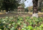Baradari Park
